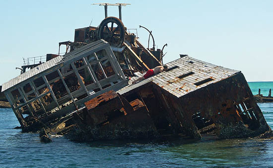 87121243.UiM8p104.PeepingTomcopy[1]